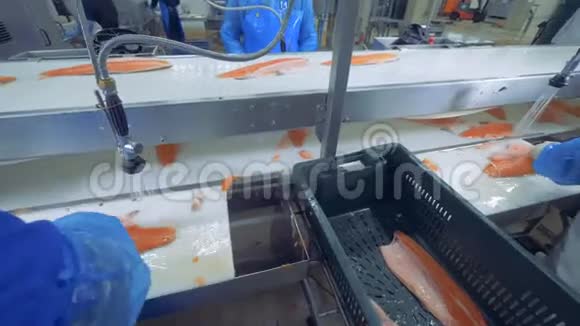 工人切鲜鱼片收口视频的预览图