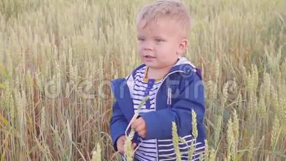 阳光明媚的一天快乐的小男孩站在小麦的田野上小农场主的概念慢动作视频的预览图