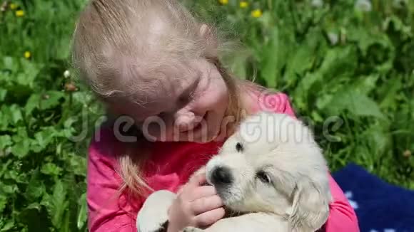 美丽的小女孩在大自然中玩小狗视频的预览图