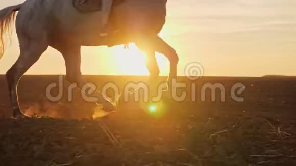 日落时骑在马身上的女孩腿特写动作缓慢视频的预览图