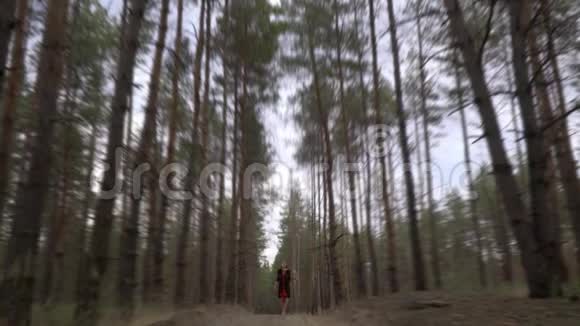 一个穿着黑色衣服的女孩站在一条森林小径上怀里抱着浅棕色的猫头鹰在模糊地射击视频的预览图