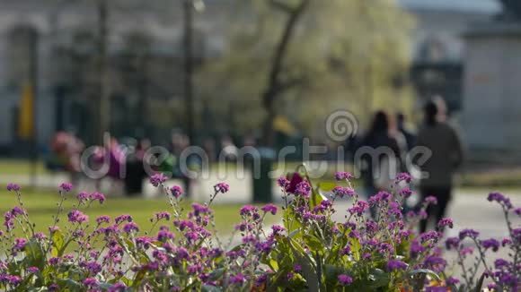 春天城市公园里五颜六色的鲜花人们在后台闲逛和散步视频的预览图