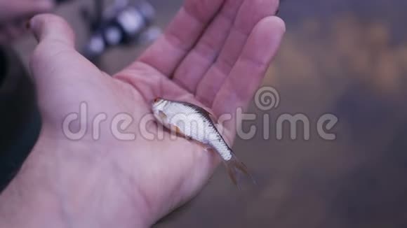 小活鱼在手里蟑螂视频的预览图