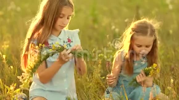 夏日草地上的女孩们视频的预览图