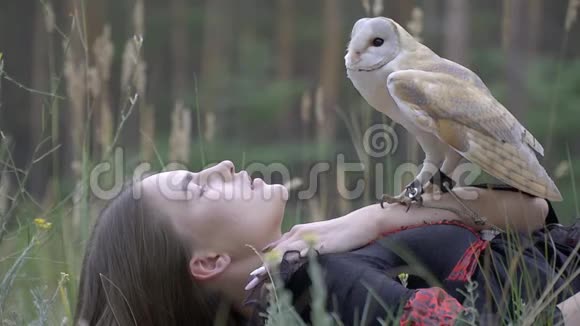 穿着裙子的布鲁内特躺在森林里的草地上她的胃坐在一根绳子上一只浅棕色的小猫头鹰视频的预览图