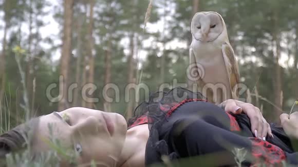 女孩躺在森林的草地上肚子上坐着一只浅棕色羽毛的小猫头鹰环顾四周视频的预览图