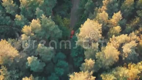 从无人驾驶飞机到沿着松树林的道路行驶的红色汽车的空中视野视频的预览图