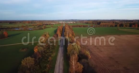 从欧洲东部的小城市俯瞰黄桦林下的宁静的秋晚景色视频的预览图