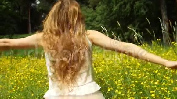 穿着金色头发的女孩穿过黄色田野抚摸着鲜花视频的预览图