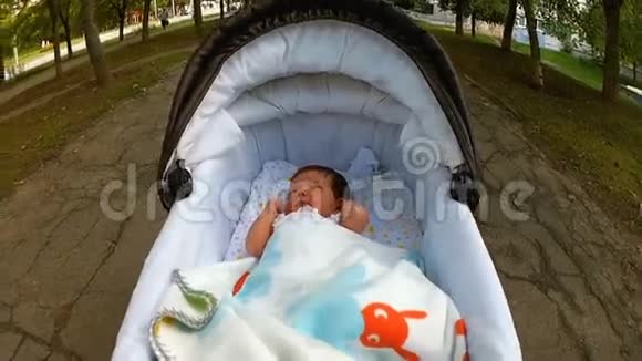 在公园散步的婴儿车里躺着视频的预览图