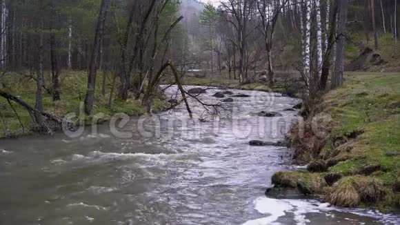 山地河流森林中有丘陵的河岸视频的预览图