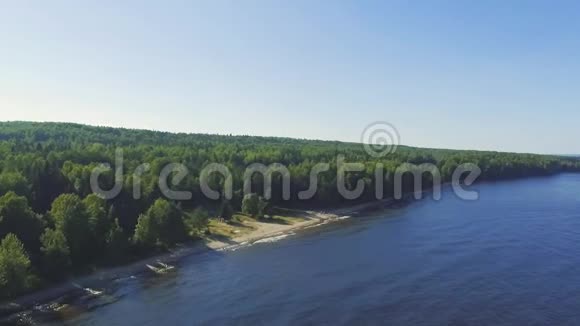 森林中湖岸上空的空中飞行风景视频的预览图