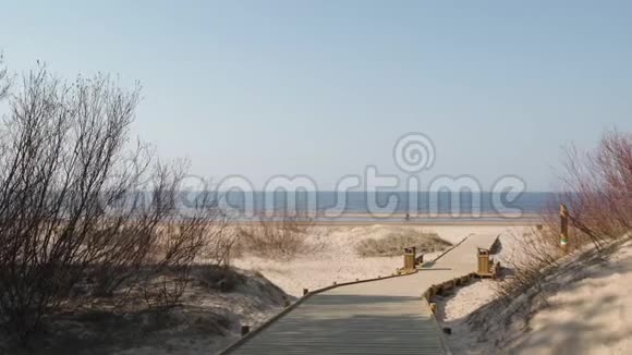 从海滩沙丘森林出发的新的木路用松树和白色送到波罗的海海湾拉脱维亚的Vecaki视频的预览图