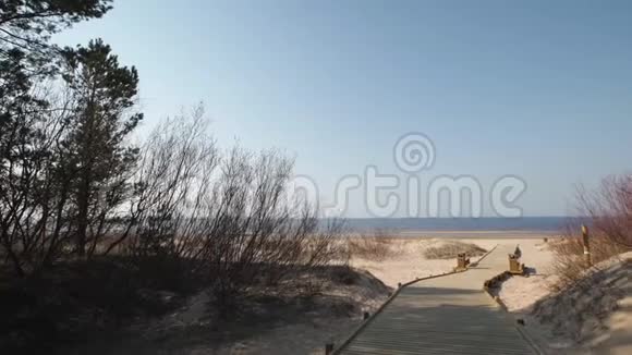 从海滩沙丘森林出发的新的木路用松树和白色送到波罗的海海湾拉脱维亚的Vecaki视频的预览图
