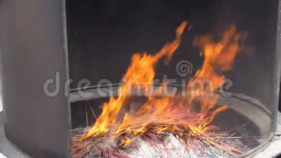 香枝在火中燃烧视频的预览图