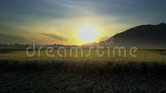 从稻田到日出时的黑山低飞视频的预览图