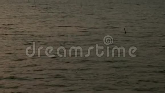 泰国海上日落视频的预览图