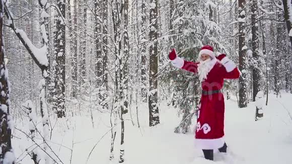 快乐的桑塔克劳斯在冬日的森林里跳跃跳舞欢庆慢动作视频的预览图
