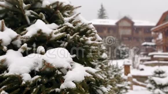 雪落杉树枝背景木屋山村滑雪场大雪寒冷视频的预览图