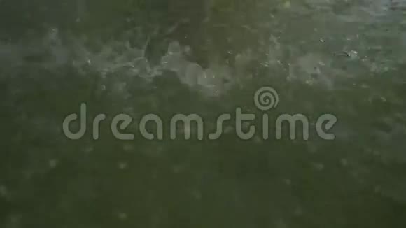 深绿色泼水视频的预览图