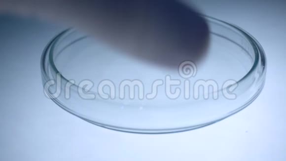 微生物实验室培养皿中芽芽研究的科学家视频的预览图