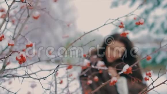 布鲁内特时尚的女人靠近灌木丛红色浆果缓慢视频的预览图