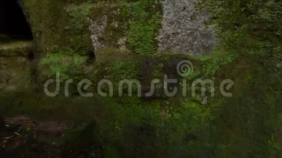 巴厘岛GunnungKawi神庙的慢镜头视频的预览图