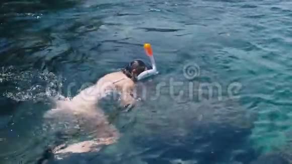 热带海洋中的年轻女子浮潜和用手机制作水下照片视频视频的预览图