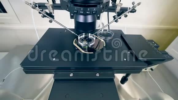 培养皿站在现代医学显微镜里视频的预览图
