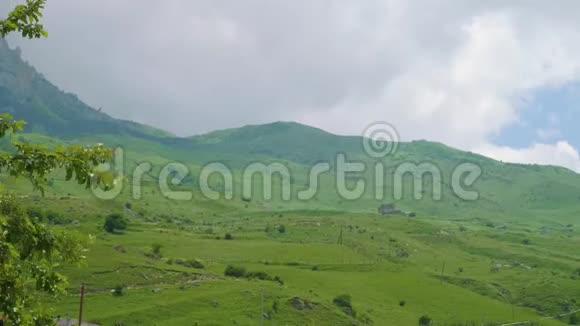 奥塞梯山脉茂密的山谷中充满了多汁的绿色植物视频的预览图