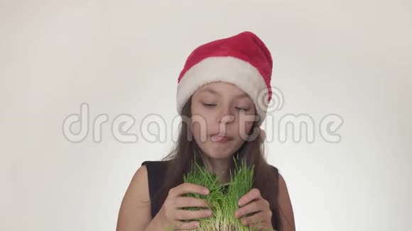 一个漂亮淘气的少女戴着圣诞老人的帽子胃口很大吃着白色背景的燕麦视频的预览图