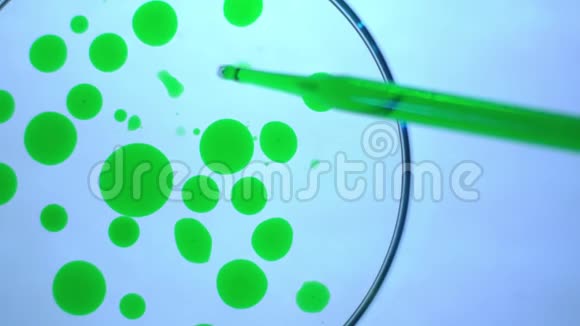 生物实验将绿色液体滴入培养皿中视频的预览图