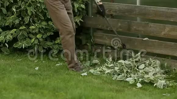 园丁用耙子清理裁剪的叶子视频的预览图