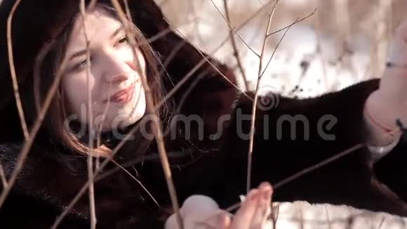 一个可爱的女孩在一片白雪皑皑的草地上从灌木丛中摘下冬天的浆果视频的预览图