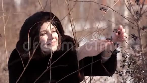 一个可爱的女孩在一片白雪皑皑的草地上从灌木丛中摘下冬天的浆果视频的预览图