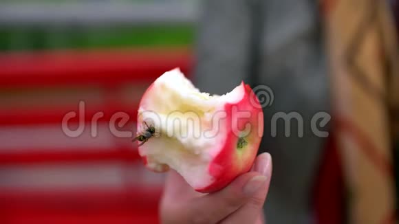 年轻女人咬着吃苹果特写黄蜂坐在苹果上4千克视频的预览图