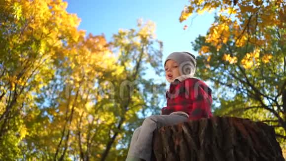 在秋天的公园里小男孩在树桩上玩耍在镜头前挥舞着手视频的预览图