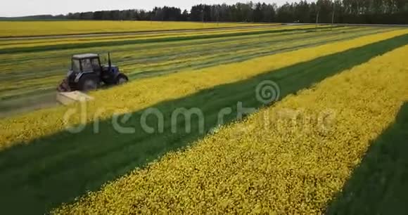 无人驾驶飞机上的拖拉机割草黄菜籽视野视频的预览图