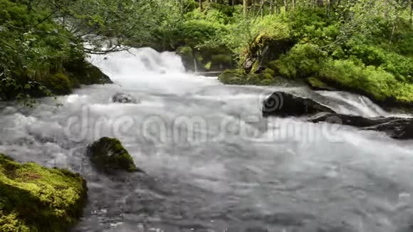 格洛斯河流经蒂罗尔奥地利的野生格罗斯山谷视频的预览图