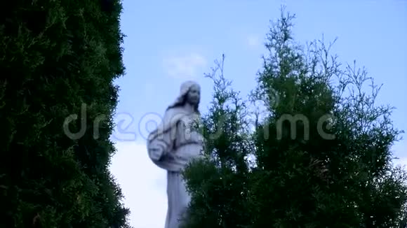 在天空和树木的墓地里雕像视频的预览图
