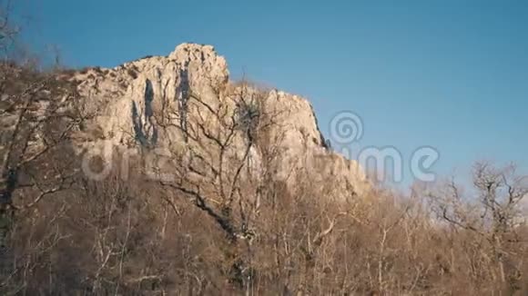 从一片没有树叶的冬林中眺望美丽的岩山悬崖视频的预览图