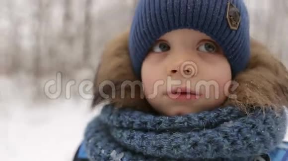 冬季户外三年男孩肖像视频的预览图