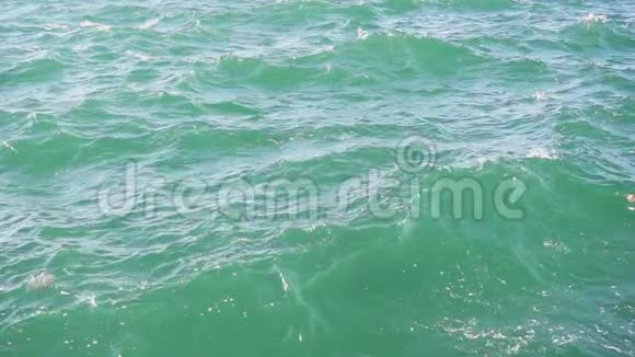 沿海海水的慢叶视频的预览图