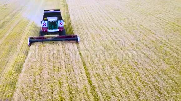 现代联合收割小麦的空中景观正上方飞行组合上景农业现场视频的预览图