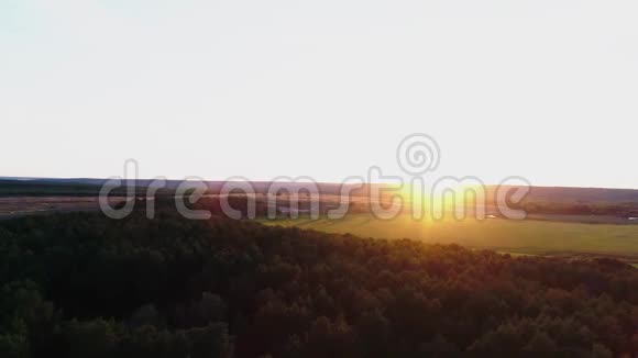 从鸟瞰日落的秋林视频的预览图
