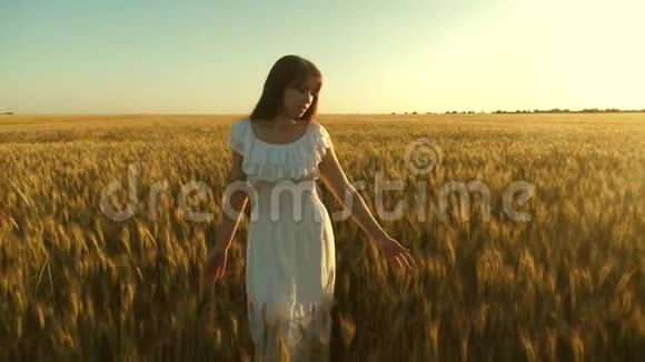 美丽的女孩走过一片成熟的麦田用手触摸谷物的耳朵慢动作一个女人视频的预览图