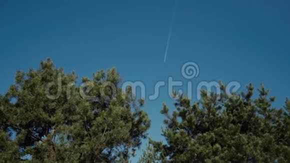 天空中的飞机松松自由森林阳光灿烂的白天灯光缓慢的运动树木天空视频的预览图
