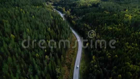 空中景色飞过沥青路两边生长着茂密的树林绿树成荫视频的预览图