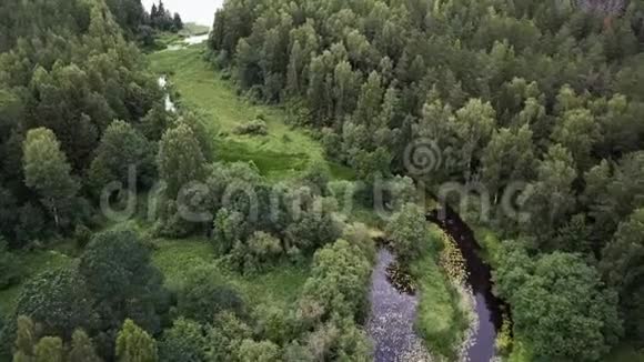 奥维桑卡蜿蜒河流的自然景观视频的预览图