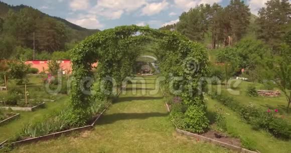 在一个美丽的公园里飞过一个野绿葡萄的拱门4K视频的预览图